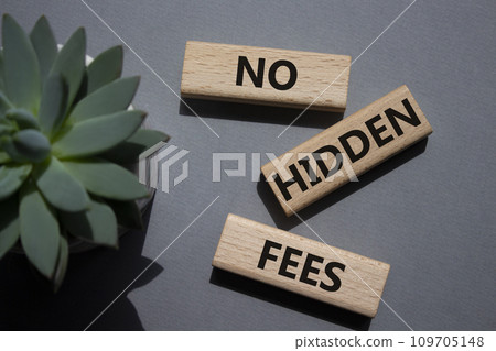 No Hidden Fees symbol. Concept words No Hidden Fees on wooden blocks. Beautiful grey background with succulent plant. Business and No Hidden Fees concept. Copy space. 109705148