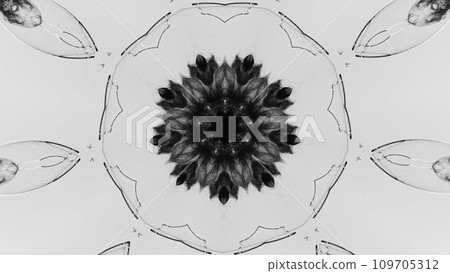 Floral graphic abstract ornament. Black ink in broken round glass mirrored symmetrical pattern on light illustration background with copy space. Floral graphic abstract ornament. Black ink in broken round glass mirrored symmetrical pattern on light illustration background with copy space. 109705312