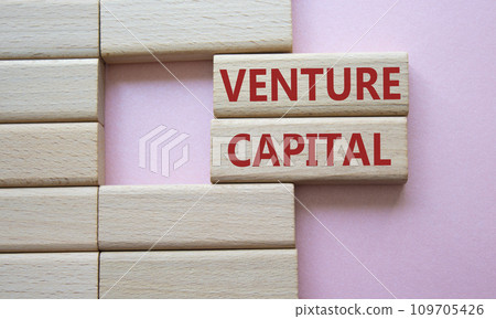 Venture capital symbol. Wooden blocks with words Venture capital. Beautiful pink background. Business and Venture capital concept. Copy space. 109705426