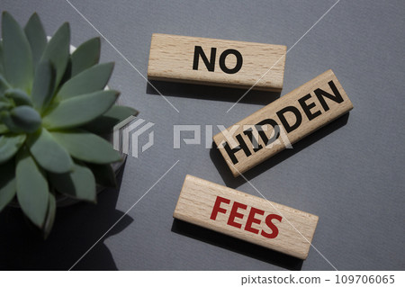 No Hidden Fees symbol. Concept words No Hidden Fees on wooden blocks. Beautiful grey background with succulent plant. Business and No Hidden Fees concept. Copy space. 109706065