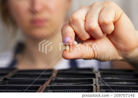 Woman hold a small seed ready for sowing in a pot with soil at home Woman hold a small seed ready for sowing in a pot with soil at home 109707148