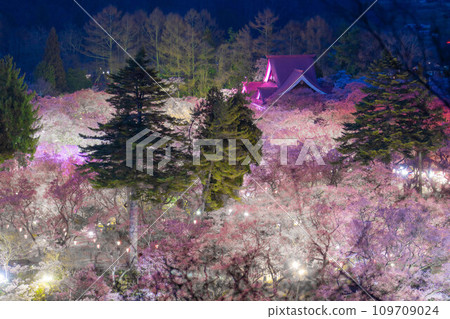 [Spring material] Night cherry blossoms and bird's-eye view of Takato Castle Ruins Park [Nagano Prefecture] 109709024