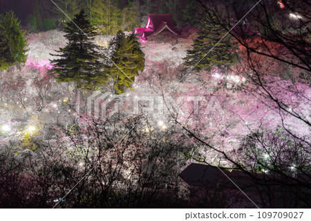 [Spring material] Night cherry blossoms and bird's-eye view of Takato Castle Ruins Park [Nagano Prefecture] 109709027