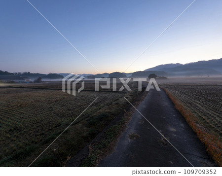 Asuka Village at dawn with fog in the air Asuka Village at dawn with fog in the air 109709352