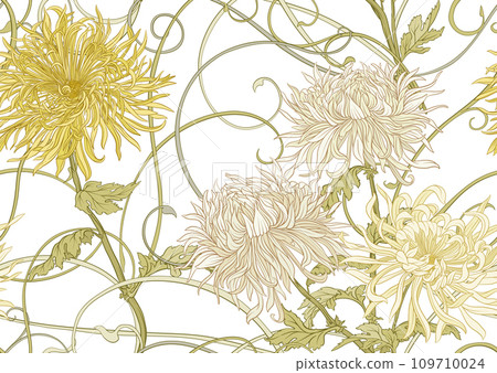 Chrysanthemum decorative flowers  Chrysanthemum decorative flowers  109710024