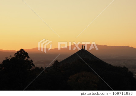 從二月堂看到東大寺屋頂的輪廓 109711983