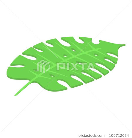 Tropical leaf icon. Isometric of tropical leaf vector icon for web design isolated on white background 109712024