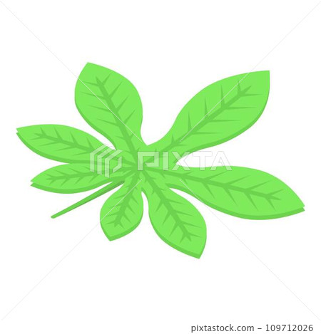Chestnut tree leaf icon. Isometric of chestnut tree leaf vector icon for web design isolated on white background 109712026