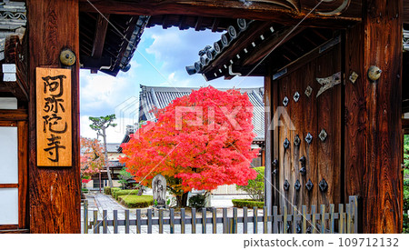 京都阿彌陀寺門前 109712132