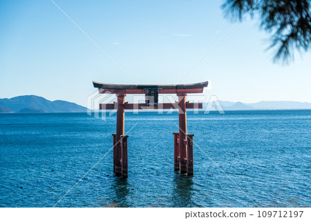 琵琶湖白須神社鳥居 109712197