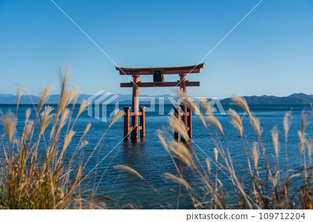 琵琶湖白須神社鳥居 109712204