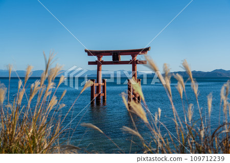 Torii of Shirahige Shrine in Lake Biwa Torii of Shirahige Shrine in Lake Biwa 109712239