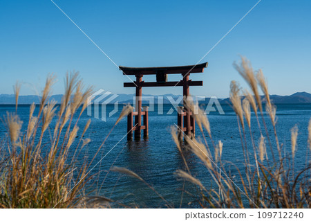 Torii of Shirahige Shrine in Lake Biwa Torii of Shirahige Shrine in Lake Biwa 109712240