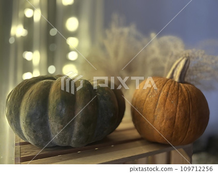 Pumpkins on a wooden shelf with a garland in the background for Christmas Pumpkins on a wooden shelf with a garland in the background for Christmas 109712256