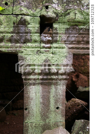 Ta Prohm ruins/Angkor Wat 109712328