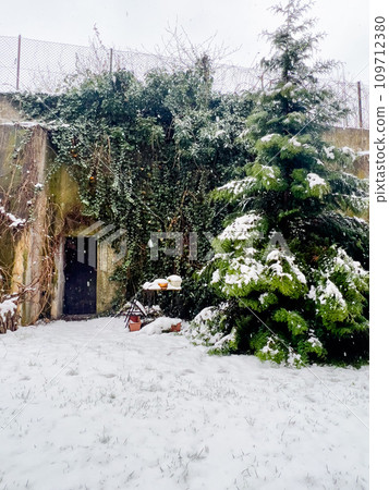 Snowy winter landscape with snow covered trees and old wooden door. Snowy winter landscape with snow covered trees and old wooden door. 109712380