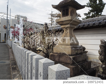 Umehara Tenmangu梅花 109712431