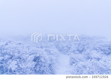 Snowy and extremely cold Japan's 100 Famous Mountains: Mt. Kuju Snowy and extremely cold Japan's 100 Famous Mountains: Mt. Kuju 109712926
