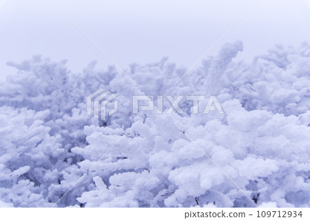 Snowy and extremely cold Japan's 100 Famous Mountains: Mt. Kuju 109712934