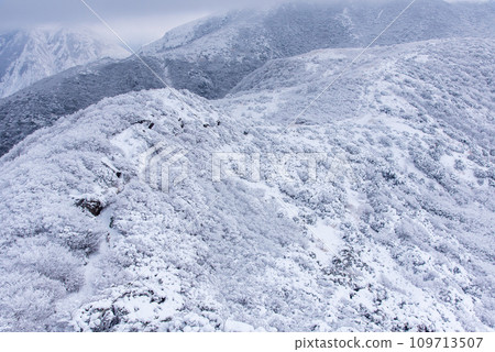 冬天的九重山藍白對比，白雪皚皚的日本名山百選 109713507