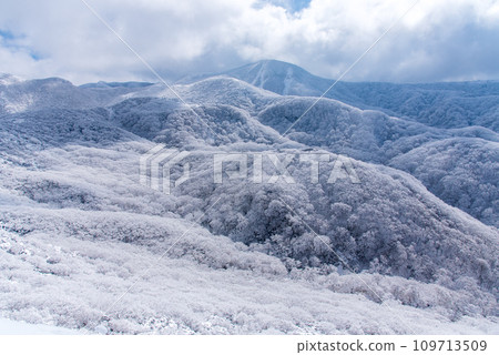 冬天的九重山藍白對比，白雪皚皚的日本名山百選 109713509