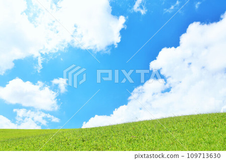 Refreshing summer blue sky and fresh green meadow landscape Refreshing summer blue sky and fresh green meadow landscape 109713630