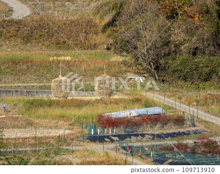 Scenery of Inabuchi rice terraces in Asuka village in late autumn 109713910