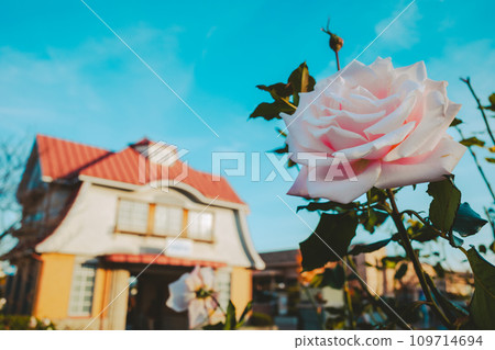 A sunny and quiet station square with autumn roses blooming b-4 Film style 109714694