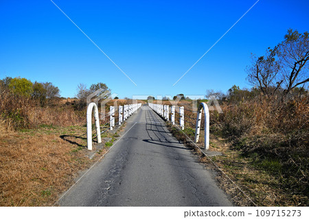 Demaru submerged bridge spanning the Iruma River, Kawajima Town 109715273