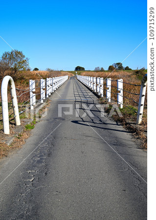 Demaru submerged bridge spanning the Iruma River, Kawajima Town 109715299