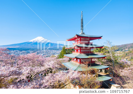 Arakurayama Sengen Park (spring) Arakurayama Sengen Park (spring) 109715767