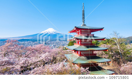 新倉山淺間公園(春季) 新倉山淺間公園(春季) 109715801