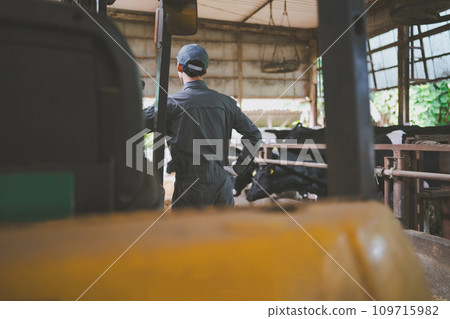 gents, male, males 109715982