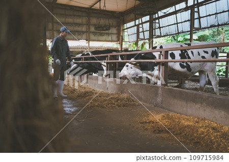 gents, male, males 109715984