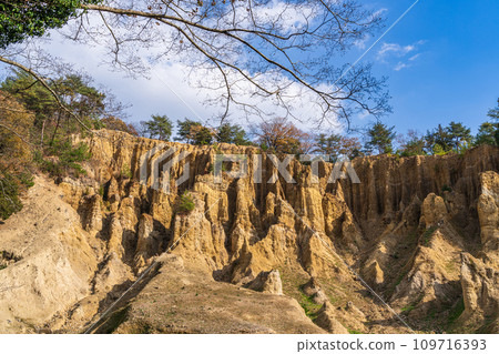 [Awa City, Tokushima Prefecture] Earthen pillars of Awa [Hatodake] 109716393