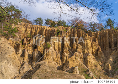[Awa City, Tokushima Prefecture] Earthen pillars of Awa [Hatodake] 109716394