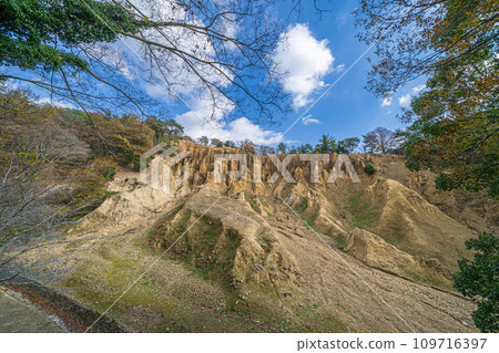 [德島縣阿波市]阿波的土柱[鳩岳] 109716397