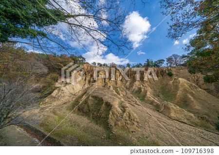 [Awa City, Tokushima Prefecture] Earthen pillars of Awa [Hatodake] 109716398