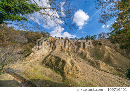 [Awa City, Tokushima Prefecture] Earthen pillars of Awa [Hatodake] 109716401
