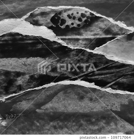 photos various textures with Ripped Paper Texture Effect 109717064