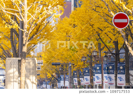大阪的秋天:禦堂筋街上一排排黃葉的銀杏樹 大阪的秋天:禦堂筋街上一排排黃葉的銀杏樹 109717553