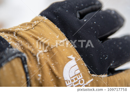 日本冬季名山百選 九重山雪花紛飛 109717758