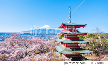 Arakurayama Sengen Park (spring) Arakurayama Sengen Park (spring) 109718083