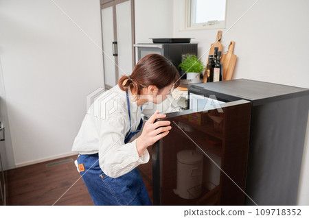 Woman opening the refrigerator, cooking, home Woman opening the refrigerator, cooking, home 109718352