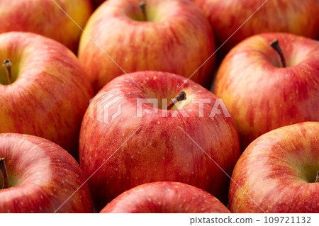 Apple  109721132