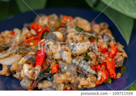 Amphibian, Appetizer, Asian Food, Basil, Chili Pepper Amphibian, Appetizer, Asian Food, Basil, Chili Pepper 109721589