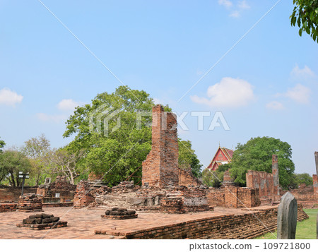 泰國阿尤特拉利夫雷斯Wat Phra海太陽寵物 泰國阿尤特拉利夫雷斯Wat Phra海太陽寵物 109721800