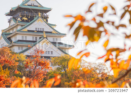 大阪秋令營 109721947