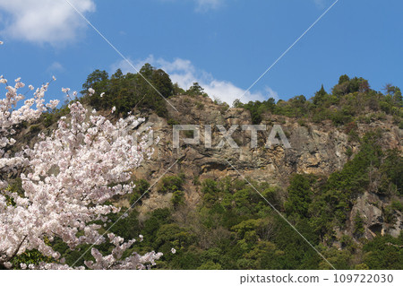 春天的富山，岐阜縣川邊町 109722030