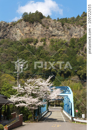 春天的富山飛驒川大橋，岐阜縣川邊町 109722035